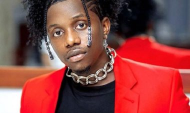 Rayvanny yatangije inzu ifasha abahanzi ahita asezera WCB yaramazemo imyaka 5