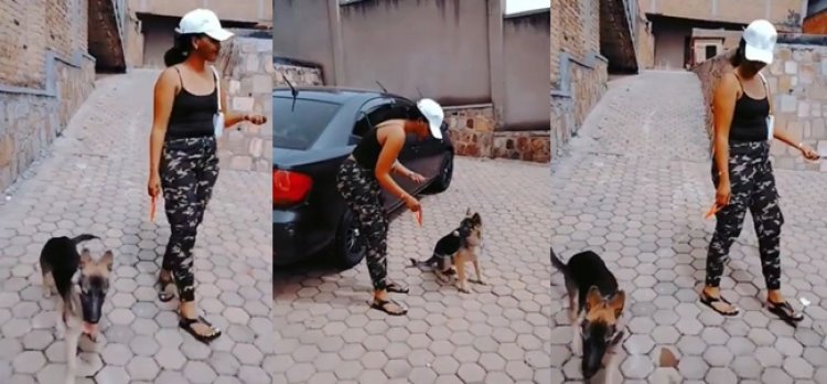 Diane wamenyekaniye muri Filimi ya City Maid  yibasiwe bikomeye kugeza naho bamugereranya n’Imbwa-Amafoto