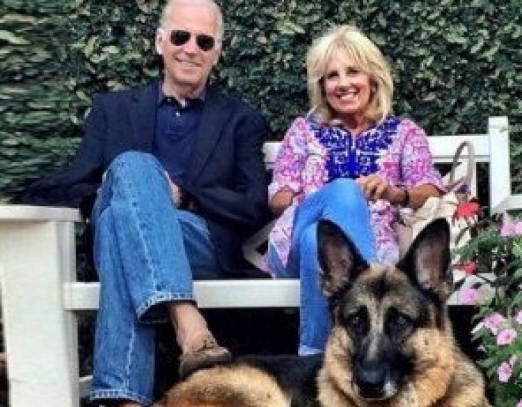 Champ ya mbwa ya Biden yapfuye ibasiga mu gahinda