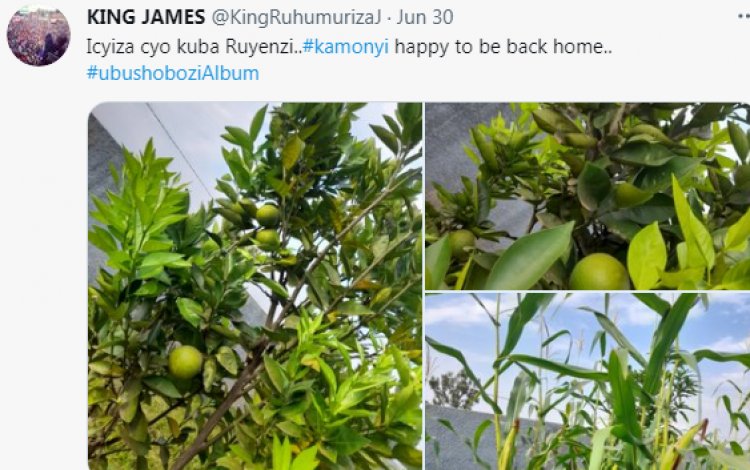 King James wari waratashye ubukwe bwa Meddy muri Amerika yagarutse ku ivuko