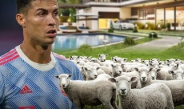 Urusaku rw’intama rwimuye Cristiano n’umuryango aho bari batuye