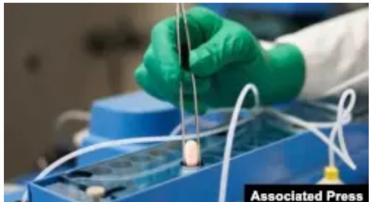 COVID-19 :  Muburyo bwihuse, Amerika yemeje ikinini cya paxlovid kivura COVID-19