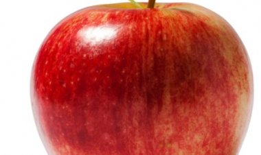 Urubuto rwa" pome"ni ingenzi ku buzima bwa muntu, menya byinshi kuri yo