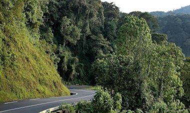 FLN yigaramye igitero cyahitanye abantu babiri muri Nyungwe, ishinja Leta y’u Rwanda kwica abaturage bayo