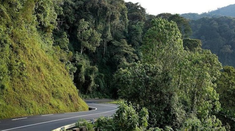 FLN yigaramye igitero cyahitanye abantu babiri muri Nyungwe, ishinja Leta y’u Rwanda kwica abaturage bayo