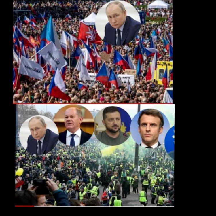 Uburayi bwijugunye mu Kamashu  nk'imbeba