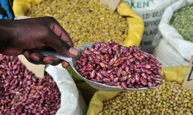 Ibiciro by’ibishyimbo n’ibirayi ku isoko bikomeje guteza impagarara