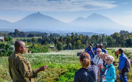 Hinjijwe miliyari 493.7 Frw mu 2022 mu bukerarugendo  bw’u Rwanda