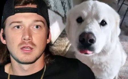 Umwana wa Morgan Wallen yariwe n'imbwa