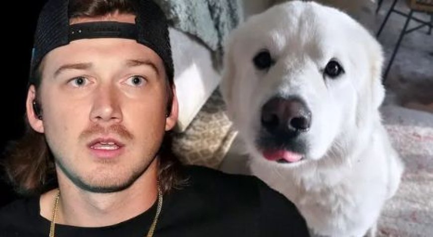 Umwana wa Morgan Wallen yariwe n'imbwa