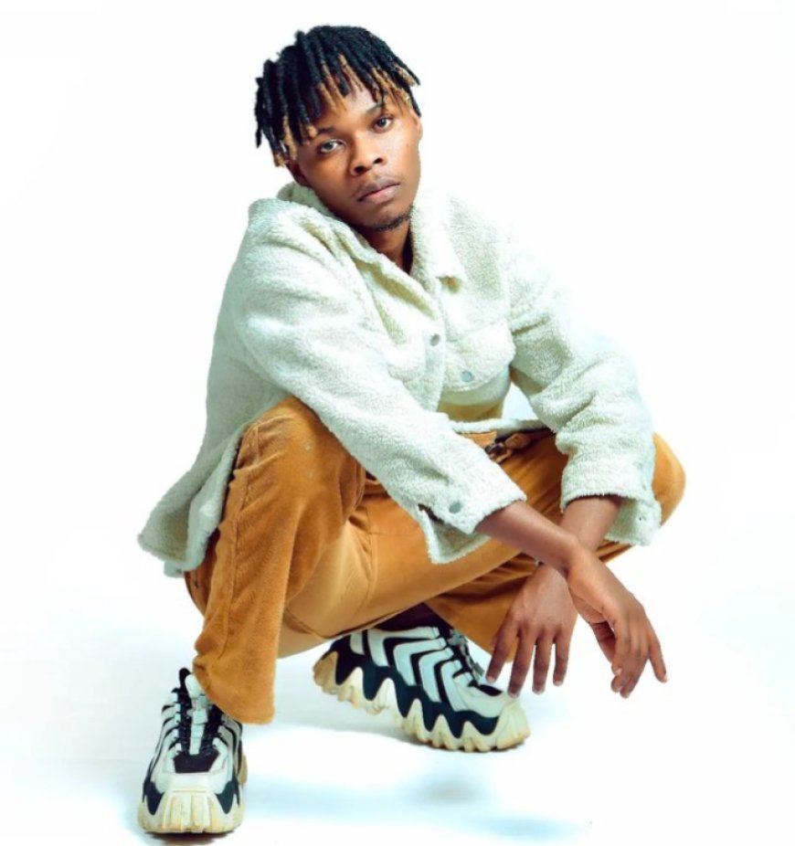 Ukuri ku itumirwa rya Li John mu gitaramo cya Colors of East Festival and Weekender