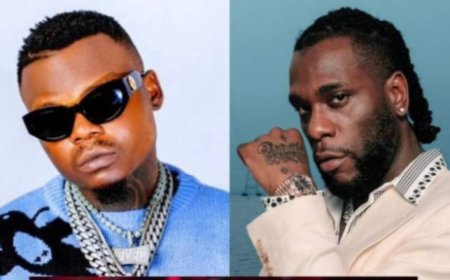 Harmonize yatangajwe n'abafana ba Burna Boy