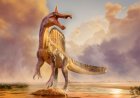 Scientists Discover New Dinosaur Species in Africa’s Sahara Desert
