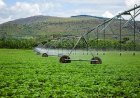 Investment Initiative Strengthens Rwanda’s Agricultural Innovation and Farmer Productivity