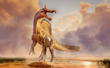 Scientists Discover New Dinosaur Species in Africa’s Sahara Desert