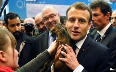 French President Faces Growing Pressure Over Agricultural Policies