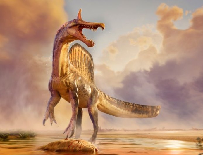 Scientists Discover New Dinosaur Species in Africa’s Sahara Desert
