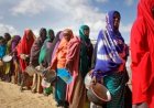 Somalia Declares State of Emergency as Drought Worsens Humanitarian Crisis