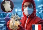 France Develops a Heart That Can Beat Forever Without Stops