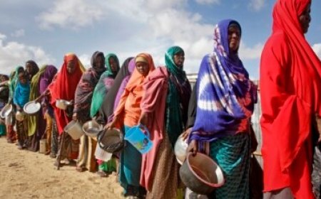 Somalia Declares State of Emergency as Drought Worsens Humanitarian Crisis