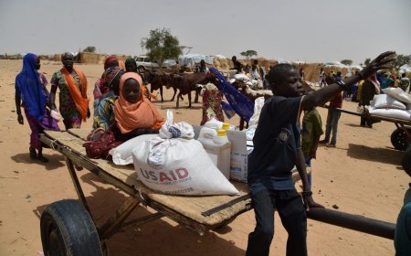 How Foreign Aid Will Never Bring Lasting Development to Africa