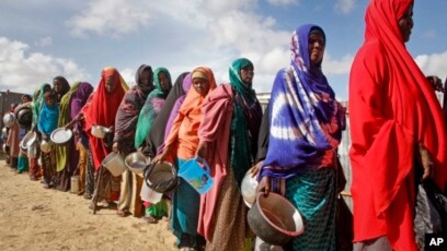 Somalia Declares State of Emergency as Drought Worsens Humanitarian Crisis